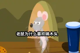 十万个为什么（第6篇）老鼠什么么喜欢啃木头#小朋友都爱看 #动画视频封面