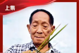 袁隆平，杂交水稻之父。他一生都扎根在稻田里，他常说：