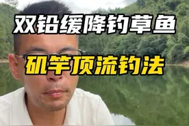 钓不到草鱼的看过来，矶竿双铅缓降钓法干货分享 #野钓 #草鱼 #钓鱼技巧 #滑漂 #老坛甜薯视频封面