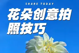 拍花技巧 分享三个拍花小技巧，简单又好学#手机摄影 #拍花技巧 #捕捉身边的美 #拍花 #抖音邀你来赏花
