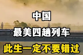 国内最美的四趟列车，此生一定不要错过。坐上火车打卡美丽中国。 #旅游推荐官 #国内最美的四趟列车 #坐上火车去旅游 #火车沿途风光 #最美风景在路上