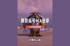 Toc小强刺骨编号wa 轻轻松松刷刺骨，让刷刺骨变得简单#魔兽世界 #游戏 #游戏日常 #巫妖王之怒 #游戏