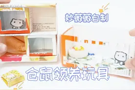 一起来玩我自制的仓鼠领养玩具套装吧。#手工diy #自制玩具