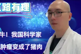 牛！我国科学家把肿瘤变成了猪肉。 #癌症 #癌症治疗最新方法视频封面
