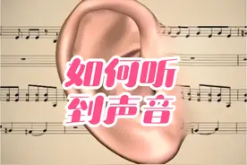 声音如何进入我们脑子里？我们如何听到声音？#医学科普 #助听器 #冷知识 #耳聋 #耳朵