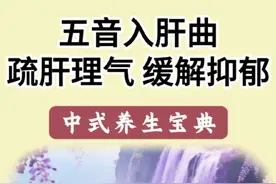 心情压抑，快来听听这首歌。听完能让你的心情豁然开朗！#内容启发搜索 #五音疗愈 #养心曲 #养生音乐 #搀扶 @DOU+小助手 @DOU+上热门 @热点关联