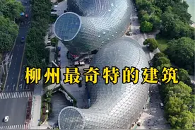 广西柳州土豪耗资三个亿打造两栋奇特的建筑，网友表示看不懂！#双渔汇 #奇葩建筑视频封面