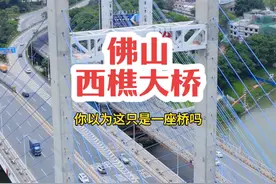你以为这只是一座桥吗？它还是一个酒店，当年能上去的人也是非富即贵，但是后面为什么倒闭了，你知道吗？#航拍 #佛山 #西樵大桥
