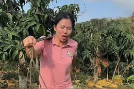 海南农村人的一天，有苦也有甜。#乡姐阿碧 #生活感悟视频封面