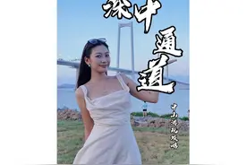 深中通道开通啦，中山一日游玩攻略，快来码住！#深中通道视频封面