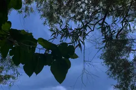 我妈是攻略者，她攻略目标是我父亲。  在她快要攻略成功的时候视频封面