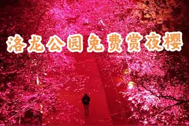这个周末不去看一场浪漫的夜樱吗？错过这个周末，花期都要谢了，这是昆明最佳免费赏夜樱的地方#带你看樱花 #夜樱 #行走的航拍 #走进亚洲花都拥抱春日浪漫 #樱花大道 @抖音短视频 @DOU+小助手视频封面