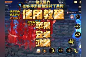 使用教程【猪王制作】DNF手游反和谐补丁系列使用教程 苹果 安卓