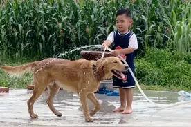 看看忙的，不是带狗子爬坡 就是给狗子洗澡。这几狗子天天被他摆弄的明明白白😂#萌娃 #农村生活 #不养狗不知道养狗的乐趣视频封面