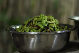 盐水毛豆 这样做盐水毛豆，香气四溢，颜色翠绿不发黄！#毛豆 #新农人计划2024 #纯天然无添加 #农村美食 #盐水毛豆