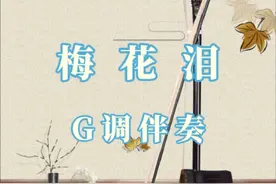 《梅花泪》G调伴奏#民族乐器 #二胡 #百听不厌 #二胡动态曲谱