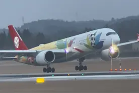 实拍成都机场一天1100架飞机起降#内容启发搜索 #一起看飞机