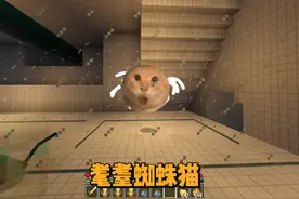 今天挑战逃离的是耄耋蜘蛛猫！当然也是粉丝的表情包投稿哦～视频封面