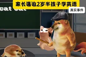 令人窒息的一幕，家长逼迫2岁半孩子学英语#中国式父母 #原生家庭视频封面