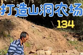 今天开始做山洞农场的猪圈了，做好养上10头跑山猪 #农村创业养殖 #三农 #新农人计划2025视频封面