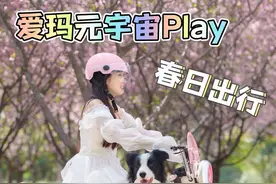 春天太适合带小猫小狗出去兜风！ 骑着爱玛元宇宙play出去看花拍照啦！#玩儿转自己的小宇宙 #爱玛元宇宙play