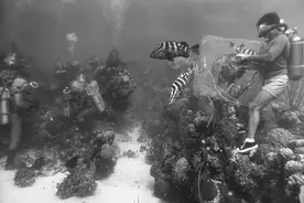 《海底两万里》【故事梗概】图片