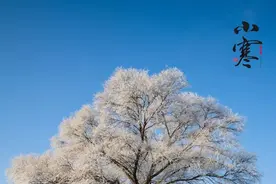 今日小寒丨年味渐浓，游子思归，守一冬飞雪，盼一世安好图片