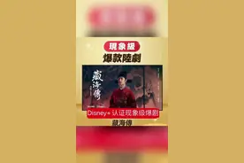 #藏海 #肖战 藏海传单日播放量1.18亿，集均7091万，最高市场占有率40.1%，灯塔第一，云合第一，酷云第一，招商第一，拉新第一，热度第一，预约第一，古装收视率近五年第一的现象级大爆剧！