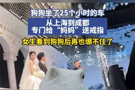 狗狗坐了25个小时的车，从上海到成都，专门给“妈妈”送戒指