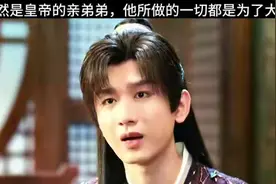 李沉舟居然是皇帝的亲弟弟，他所做的一切都是为了大熙，为了天下百姓，可惜没有人相信他