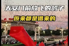天安门前放飞的鸽子是借来的？真相在这里…
