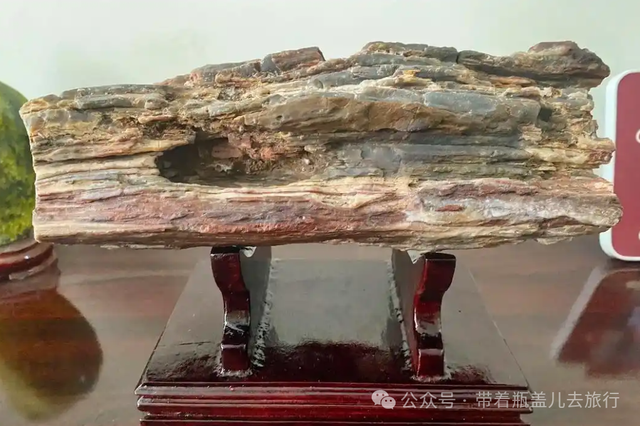 白酒流水线旁挖出恐龙蛋？四川这个县级市，竟把侏罗纪塞进GDP