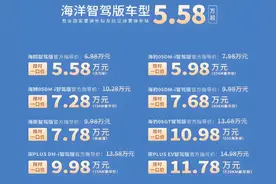 比亚迪宣布：10款车大降价！图片