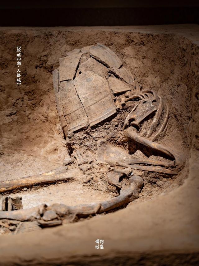 墨西哥考古大发现！骷髅塔藏千年秘密，征服者谎言被戳穿