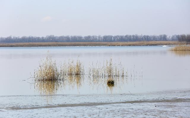 河北衡水湖，被誉为“京南第一湖”，是放松身心的好去处