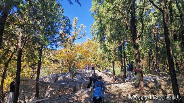 泰安：泰山腰一条鲜为人知的环山小道，却藏着深秋的惊艳