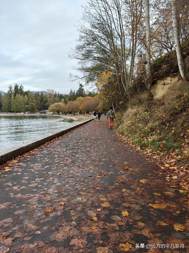 温哥华游记（一）