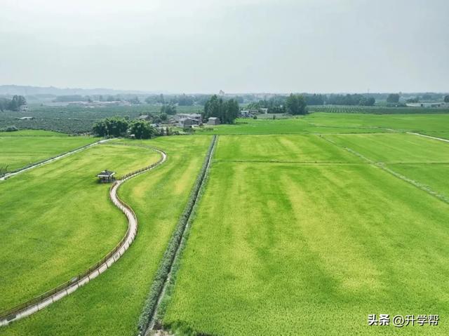 四川的秋！是令人心动的秋！