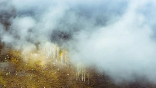 云雾缭绕 喀纳斯驼颈湾