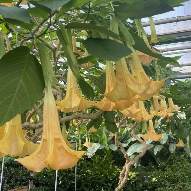 出门冻手冻耳朵！丰台室内去哪儿最温暖，戳——