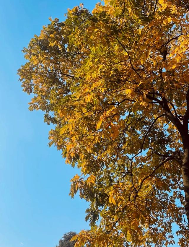 藏不住啦！金牛这些地方必须给你点“颜色”看看→