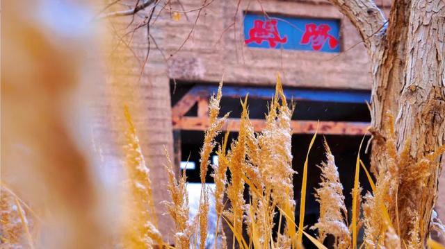 敦煌阳关迎来2025年初冬的第一场雪