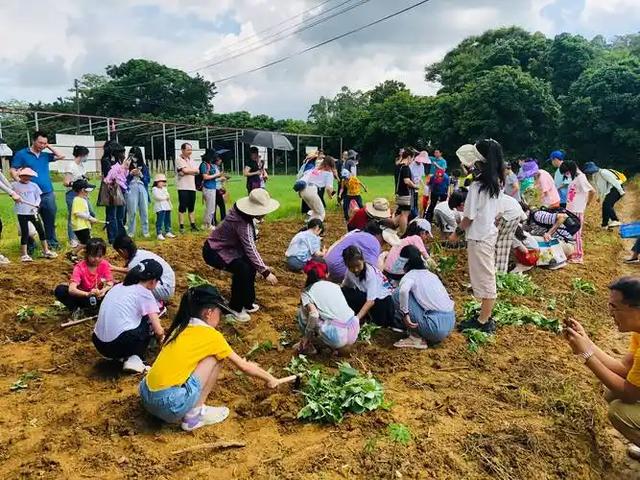 当千年古嘉州遇上“Z世代”：这才是乐山文旅该有的年轻化攻略