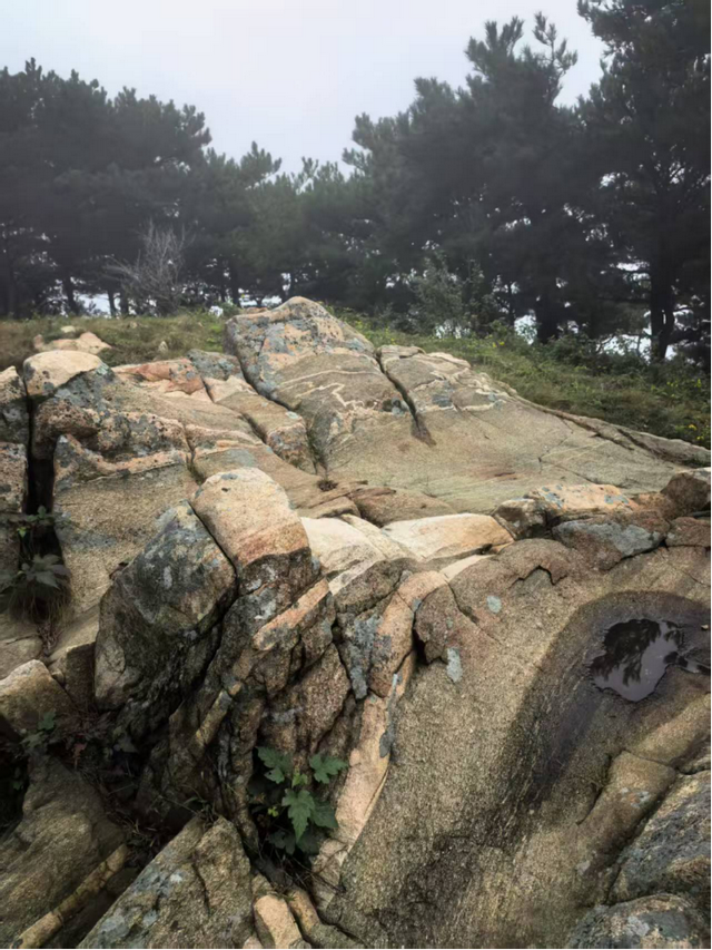 驴行信记：再攀“磨山顶”