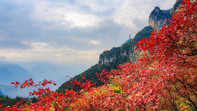 一江碧水，两岸红叶，静看三峡绚丽之秋