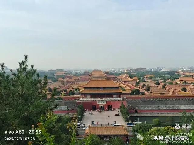 北京景山公园向日葵花海,夏日盛景| 申艳娟