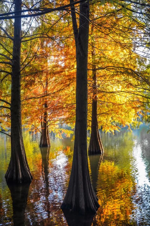 时间在这里按下暂停键,让我们见证季节变换