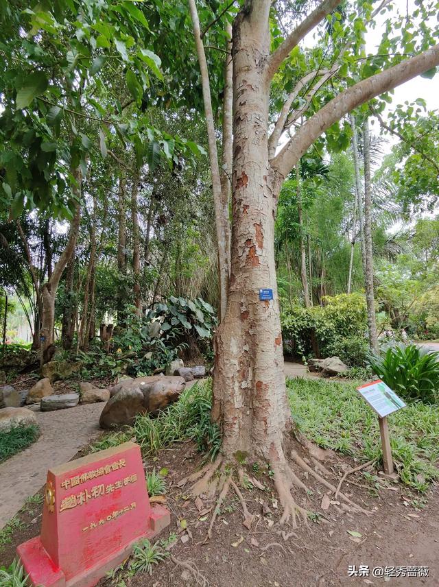 云南西双版纳，极具鲜明特色的旅游胜地。