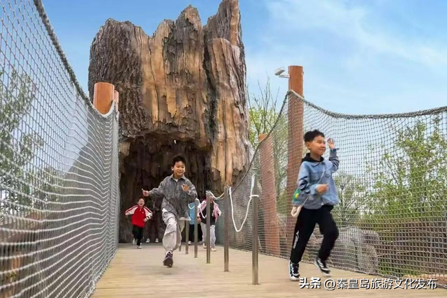 2025年度盘点（旅游篇）：新质生产力赋能全国滨海旅游目的地建设