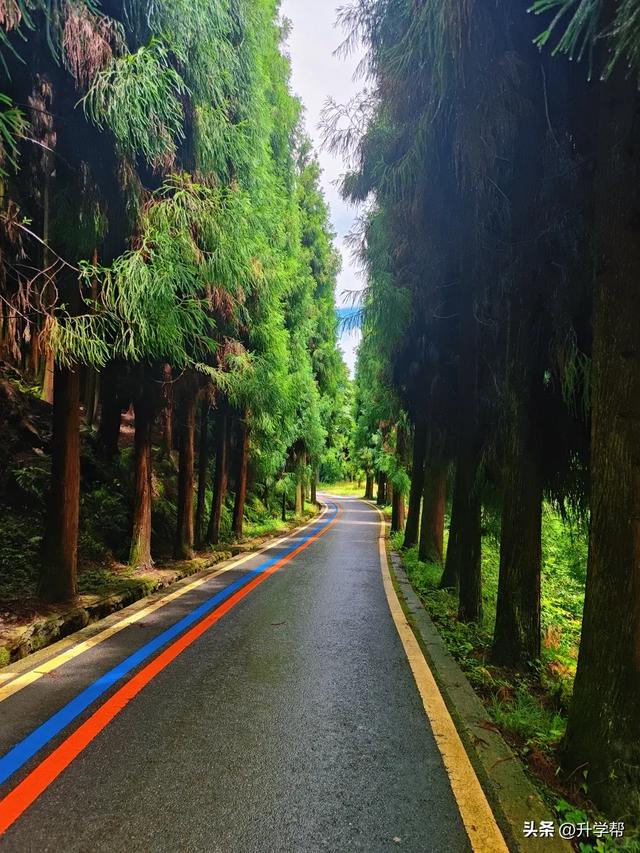 成都这地儿，不仅26℃还有“鸡蛋”领！